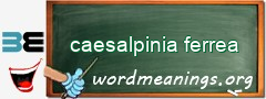 WordMeaning blackboard for caesalpinia ferrea